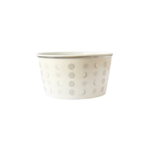 ASTRES Silver Bowl Set of 4
