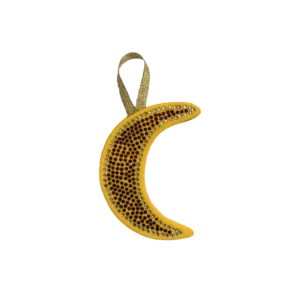 MOON Ornament